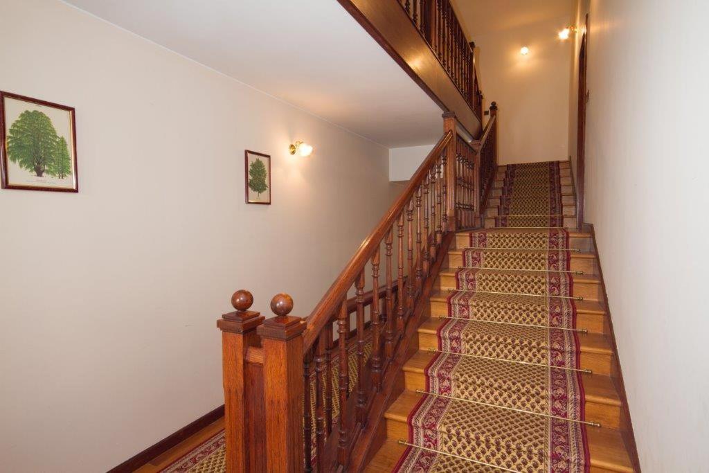 Villa Sveta Eufemija Bed end Breakfast I Rovinj Exteriör bild